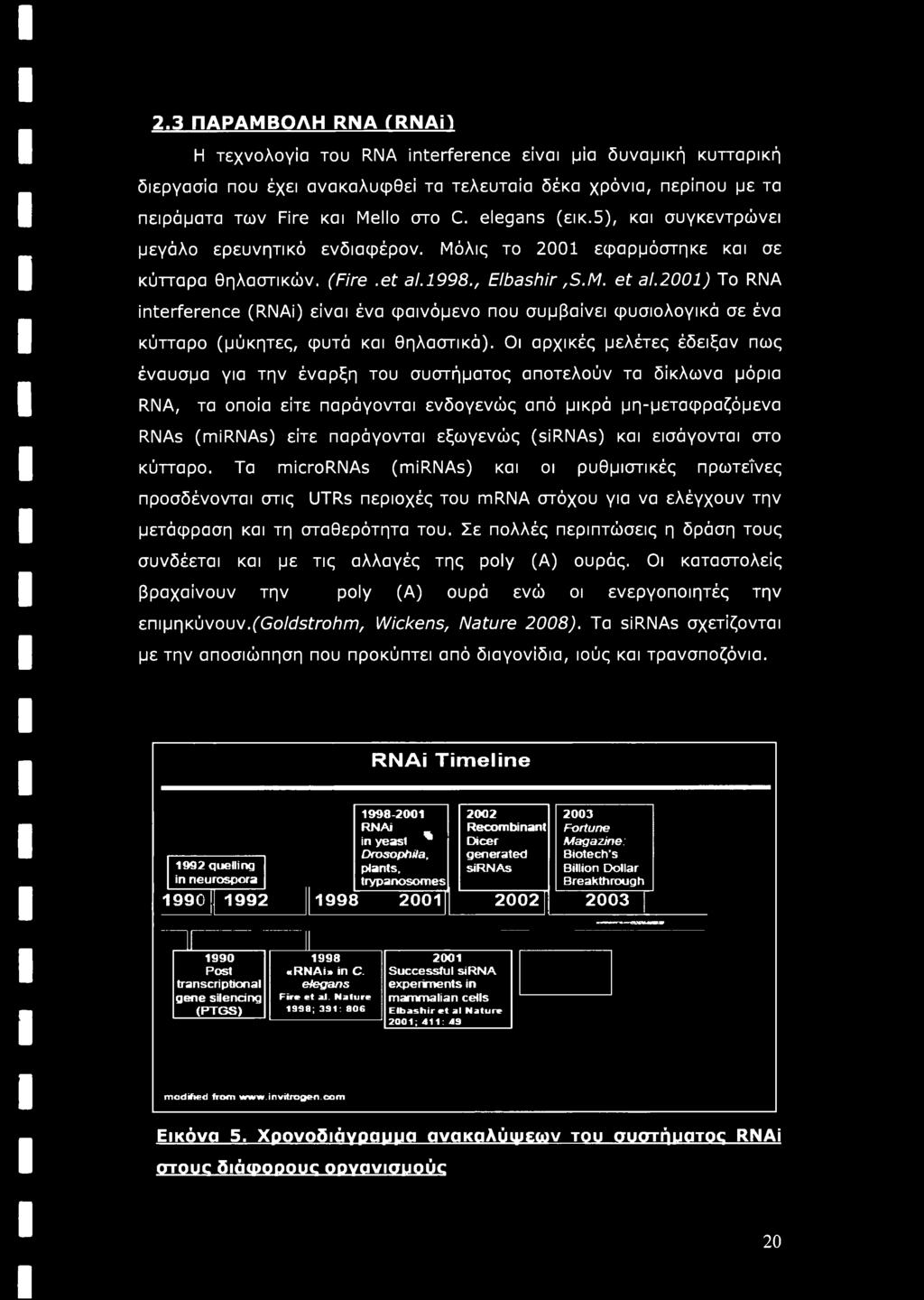 εξωγενώς (sirnas) και εισάγονται στο κύτταρο. Τα micrornas (mirnas) και οι ρυθμιστικές πρωτεΐνες προσδένονται στις UTRs περιοχές του mrna στόχου για να ελέγχουν την μετάφραση και τη σταθερότητα του.