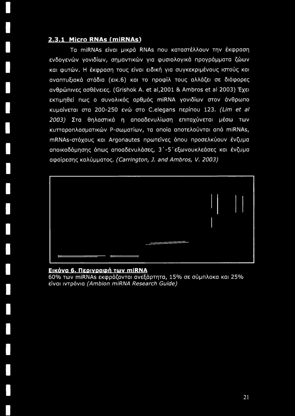 et al,2001 & Ambros et al 2003) Έχει εκτιμηθεί πως ο συνολικός αρθμός mirna γονιδίων στον άνθρωπο κυμαίνεται στα 200-250 ενώ στο C.elegans περίπου 123.