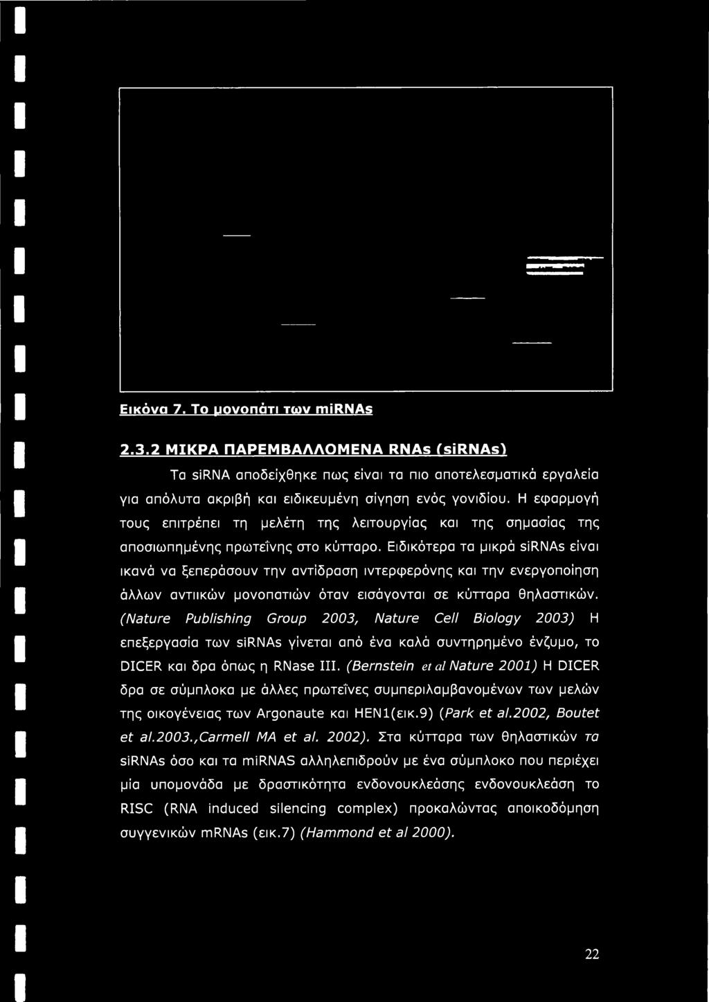 Ειδικότερα τα μικρά sirnas είναι ικανά να ξεπεράσουν την αντίδραση ιντερφερόνης και την ενεργοποίηση άλλων αντιικών μονοπατιών όταν εισάγονται σε κύτταρα θηλαστικών.
