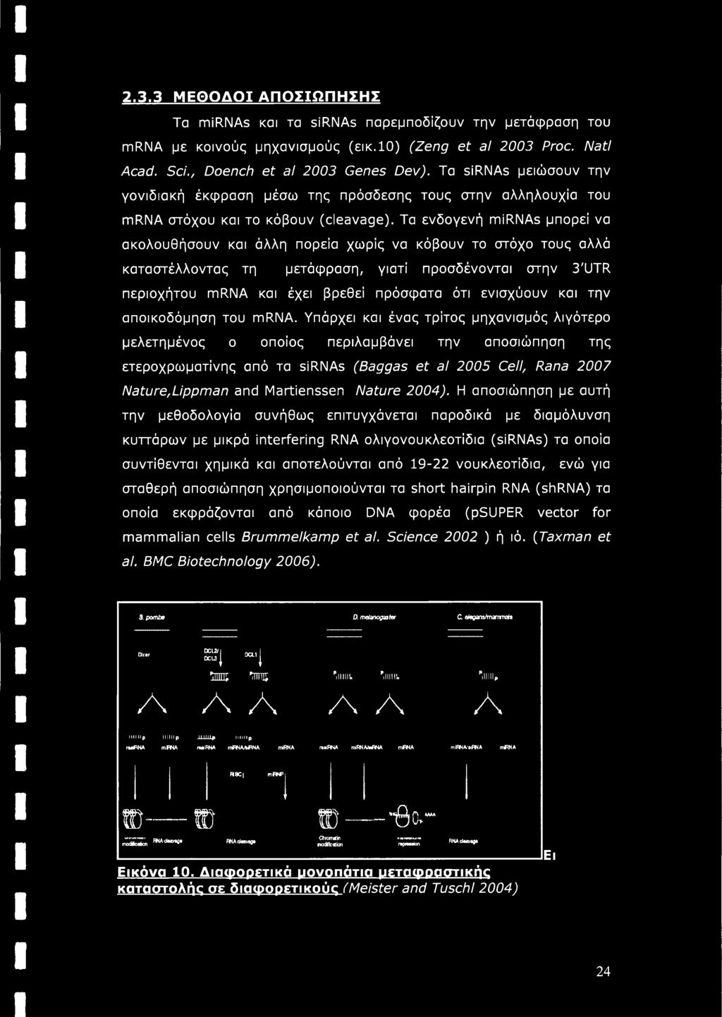 Τα ενδογενή mirnas μπορεί να ακολουθήσουν και άλλη πορεία χωρίς να κόβουν το στόχο τους αλλά καταστέλλοντας τη μετάφραση, γιατί προσδένονται στην 3'UTR περιοχήτου mrna και έχει βρεθεί πρόσφατα ότι