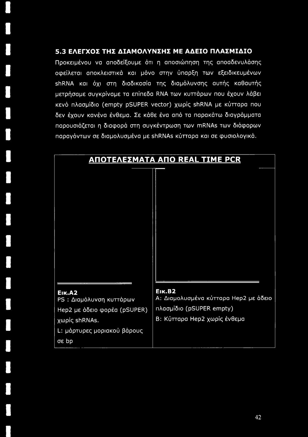 shrnas κύτταρα και σε φυσιολογικά. ΑΠΟΤΕΛΕΣΜΑΤΑ ΑΠΟ REAL TIME PCR Εικ.