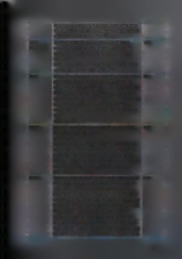 LSM PROTEINS BTG2 AG02 H2A Z έναρξης μετάφρασης (eif4g) προσδένεται στην capbinding protein elf4e και ενισχύει την μετάφραση του mrna (Goldstrohm and Wickens 2008) Lsm 2p- 8p αλληλεπιδρούν με το U6