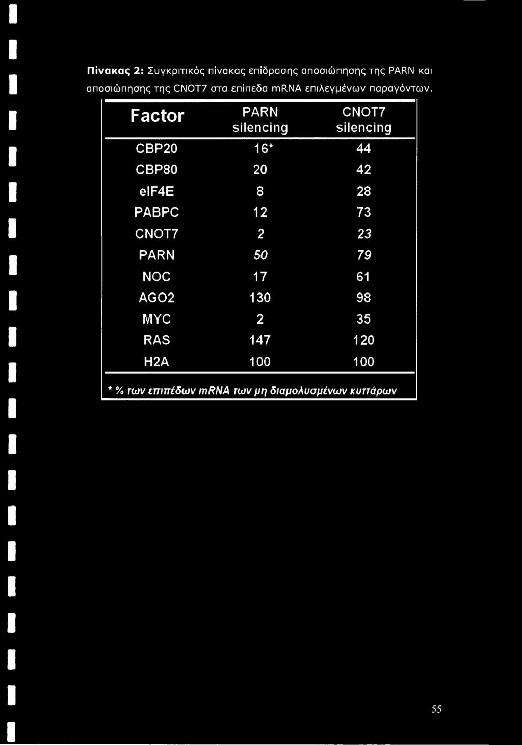 Factor PARN silencing CNOT7 silencing CBP20 16* 44 CBP80 20 42 elf4e 8 28 PABPC 12 73