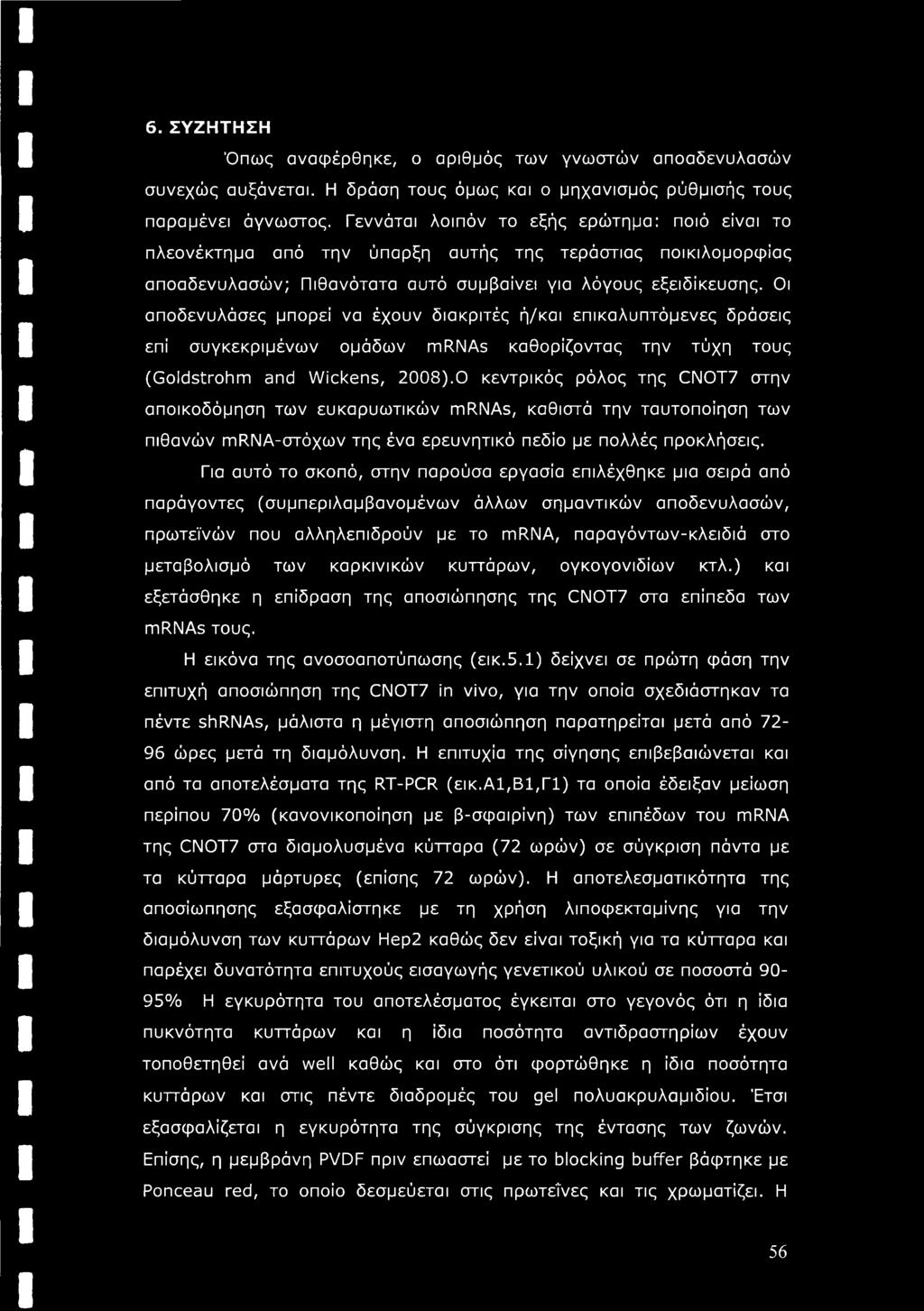 Οι αποδενυλάσες μπορεί να έχουν δια κριτές ή/και επικαλυπτόμενες δράσεις επί συγκεκριμένων ομάδων mrnas καθορίζοντας την τύχη τους (Goldstrohm and Wickens, 2008).