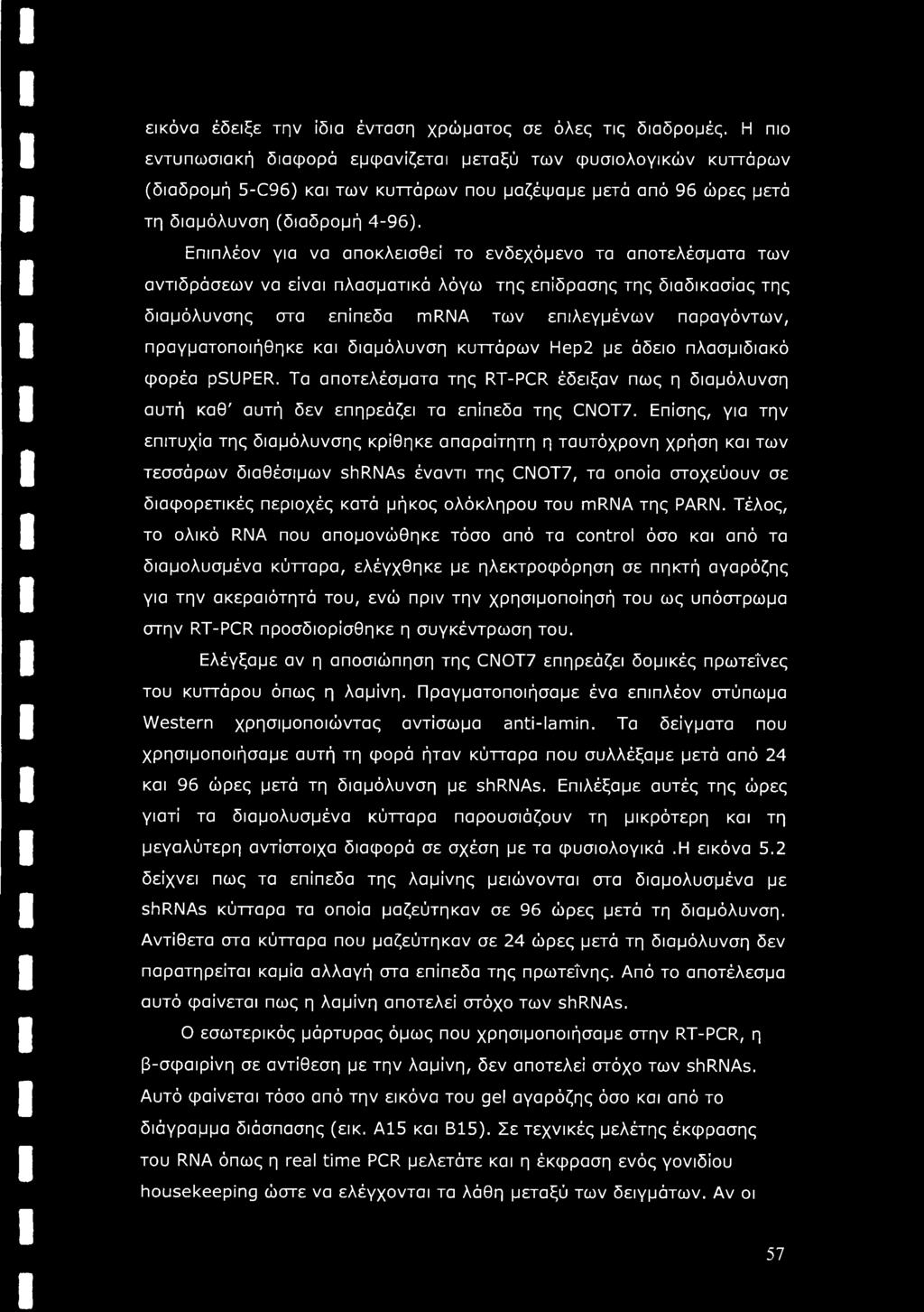 Επιπλέον για να αποκλεισθεί το ενδεχόμενο τα αποτελέσματα των αντιδράσεων να είναι πλασματικά λόγω της επίδρασης της διαδικασίας της διαμόλυνσης στα επίπεδα mrna των επιλεγμένων παραγόντων,