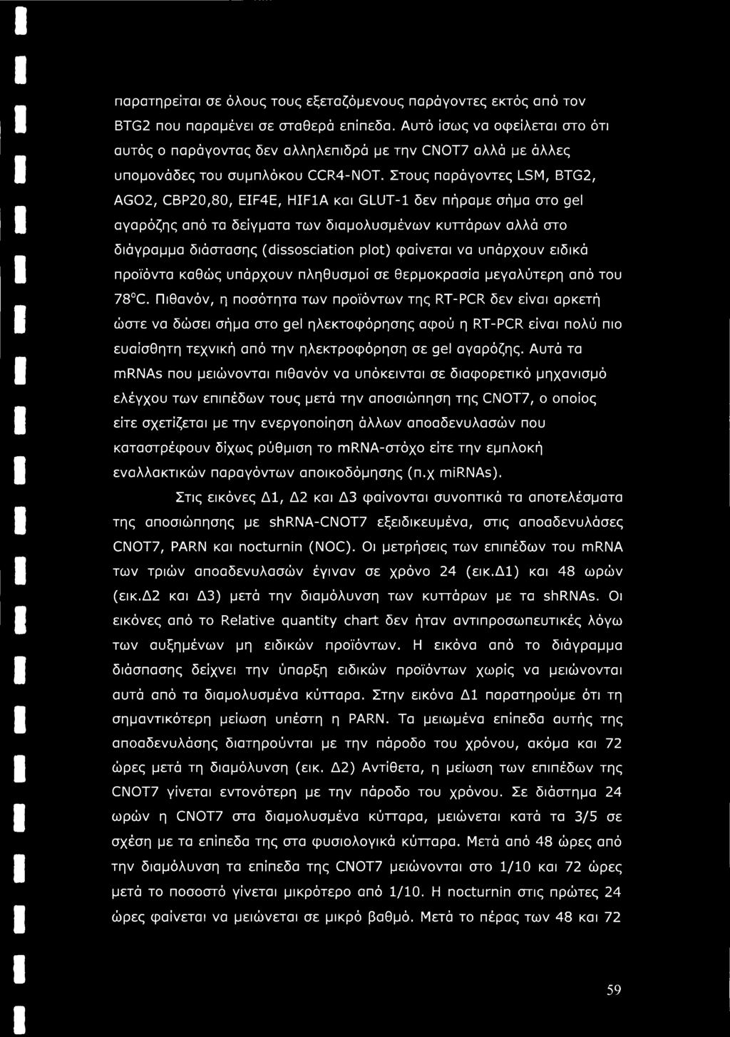 Στους παράγοντες LSM, BTG2, AG02, CBP20,80, EIF4E, HIF1A και GLUT-1 δεν πήραμε σήμα στο gel αγαρόζης από τα δείγματα των διαμολυσμένων κυττάρων αλλά στο διάγραμμα διάστασης (dissosciation plot)