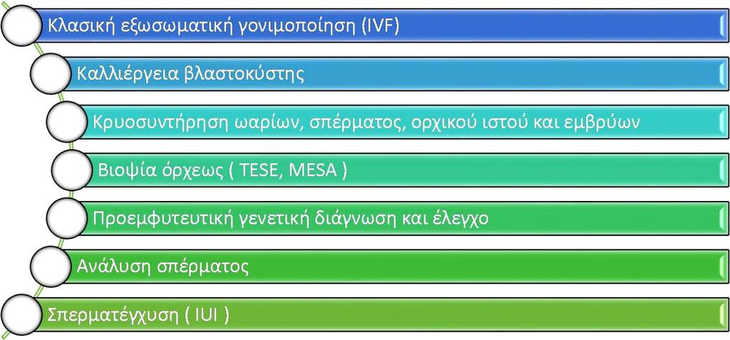 Εξωσωματική Η Med4u συνεργάζεται με ένα από τα πιο σύγχρονα εξοπλισμένα εργαστήρια εξωσωματικής στην Ελλάδα σύμφωνα με τις τελευταίες προδιαγραφές που προτάθηκαν από την Ευρωπαϊκή Ένωση.