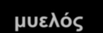 (κυτοχρώματα) Αποθήκες σιδήρου στο