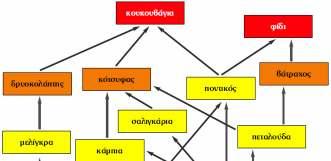 ΙΣΟΡΡΟΠΙΑ ΠΟΙΚΙΛΟΤΗΤΑ ΕΝΟΣ ΟΙΚΟΣΥΣΤΗΜΑΤΟΣ Αν αντίθετα στο οικοσύστηµα υπάρχει