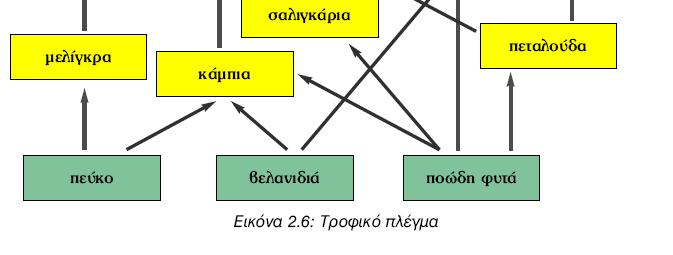 πληθυσµών του οικοσυστήµατος ΤΡΟΦΙΚΟ ΠΛΕΓΜΑ