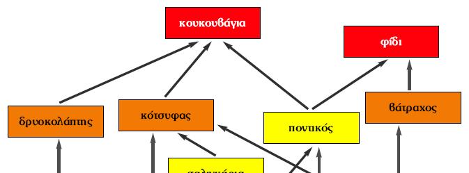 ΠΛΗΡΟΦΟΡΙΕΣ ΠΟΥ ΑΝΤΛΟΥΜΕ ΑΠΟ ΕΝΑ ΤΡΟΦΙΚΟ ΠΛΕΓΜΑ Τι θα συµβεί στο οικοσύστηµα αν το ραντίσουµε µε εντοµοκτόνο; Θα