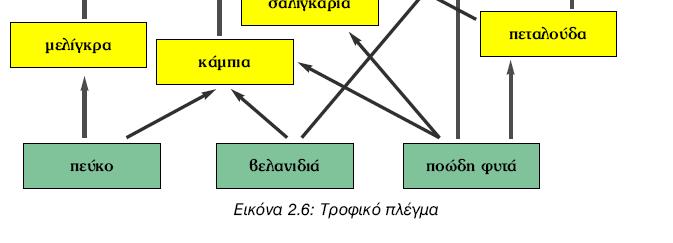 τροφής θα εξαφανιστούν Τα κοτσύφια θα µειωθούν γιατί µετά το ψεκασµό θα τρέφονται αποκλειστικά µόνο µε σαλιγκάρια Τα