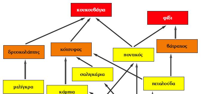 ΠΛΕΟΝΕΚΤΗΜΑΤΑ ΤΩΝ ΤΡΟΦΙΚΩΝ ΠΛΕΓΜΑΤΩΝ ΕΝΑΝΤΙ ΤΩΝ ΤΡΟΦΙΚΩΝ ΑΛΥΣΙ ΩΝ Με το τροφικό πλέγµα πληροφορούµαστε: Για το σύνολο