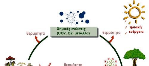 Για το λόγο αυτό τα χηµικά στοιχεία (C, H, O, N, S, P κ.α.) που είναι απαραίτητα για τη σύνθεση των χηµικών ενώσεων