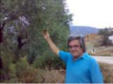 ζοζηήμαηα