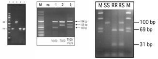 Δπγαζηηπιακορ An-08-1 An-08-3 Mt-08-6 SM-08-1 Ch-08-1 Ch-08-3-4 Ch-08-5 Ch-08-6 Δπγαζηηπιακορ An-08-1 An-08-3 Mt-08-6 SM-08-1 Ch-08-1 Ch-08-3-4 Ch-08-5 Ch-08-6