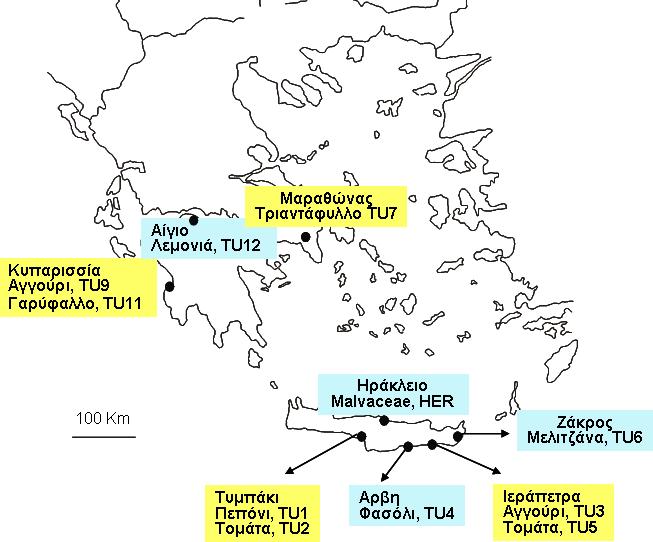 Aκζεθηηθόηεηα Tetranychus urticae ζηα πονεζνμεηδή