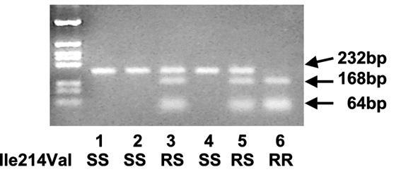 Pesη Bioch Phys 71,