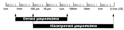 Σχήμα Θ17: Σύγκριση της διακριτικής ικανότητας των οπτικών και ηλεκτρονικών μικροσκοπίων.