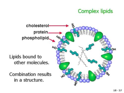 Lipoproteini-kompleksi proteina i lipida
