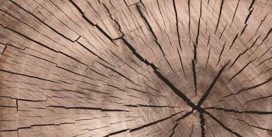 2 ΧΡΩΜΑΤΟΛΟΓΙΟ ΠΟΡΤΩΝ / COLORS LAMINATE MATRIX Υφή ξύλου-woodfeeling H Ε Τ Α Ι Ρ Ι Α Η ΞΥΛAΣ Α.Ε.Β.