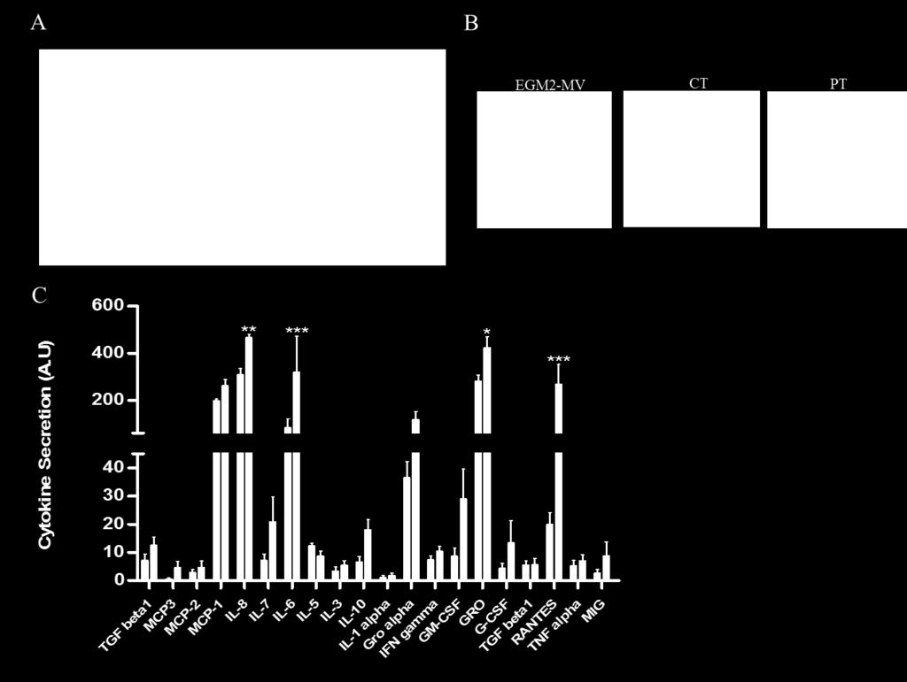 266 267 Additional Figures and Tables 268 269 270 271 272 273 274 275 276 Figure S1. Prematutrity modulates cytokines secretory phenotype (A) Cytokine array map from RayBiotech.