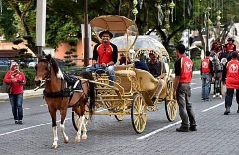 Kerajaan akan bekerjasama dengan pengusaha pengangkutan awam bagi meningkatkan penggunaan EEV terutamanya untuk pengangkutan transit seperti bas dan teksi.