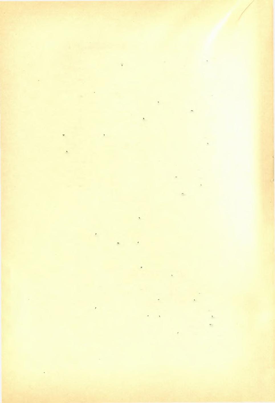 48 Δ. Εύα,γγελίδου, άνασκαφϊ) Ναγοϋ Χίου. ΠΑΕ 1921 'Ως έν τφ προχείρο) διαγράμματι (Α) φαίνεται, προς Ά. εύρέθη τοίχου θεμέλιον μέ διεύθυνσιν έκ Β. πράς Ν. καί πλάτους 3.