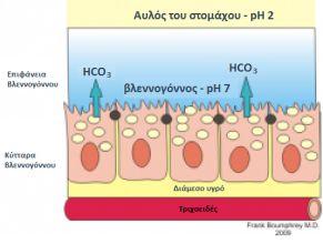 παθογόνα βακτήρια Helicobacter