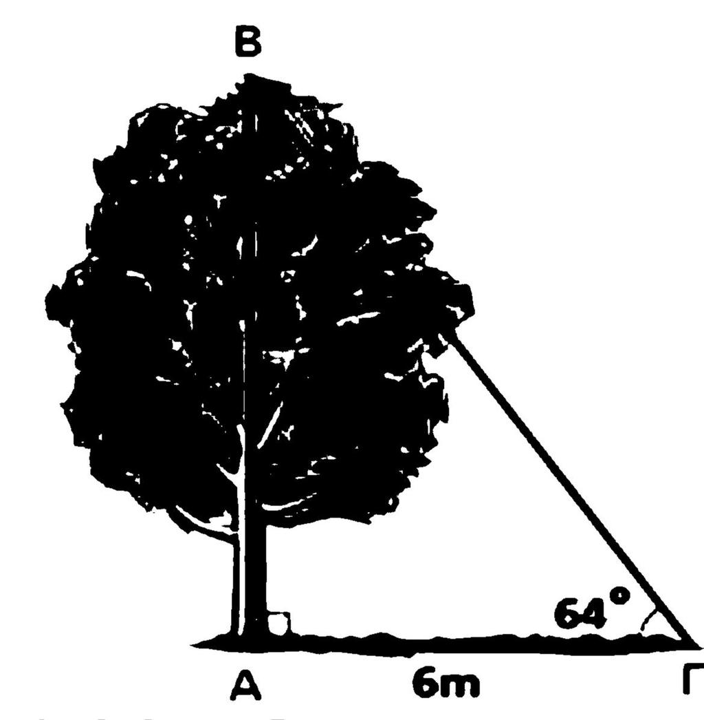 6. Να υπολογίσετε το ύψος του δέντρου στο διπλανό σχήμα 7.