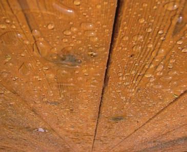 Αυτοί οι ξύλινοι πόλοι ήταν ξηραμένοι και περιβάλλονταν από λεπτό στρώμα μολύβδου (μολυβδοχόηση), αποκλείοντας έτσι τη μεταβολή της υγρασίας του αποξηραμένου ξύλου και συνεπώς διατηρούσαν αμετάβλητες