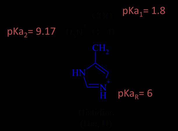 48 פרק 16: חומצות אמינו, פפטידים וחלבונים הכן את חומצת האמינו מתיונין מחומר המוצא הבא:.1 + 3 2 2 S 3 Methionine (Met, M) פרטו את שלבי סינטזת גבריאל לקבלת ואלין:.