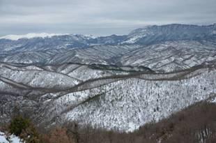 Γκαμήλα