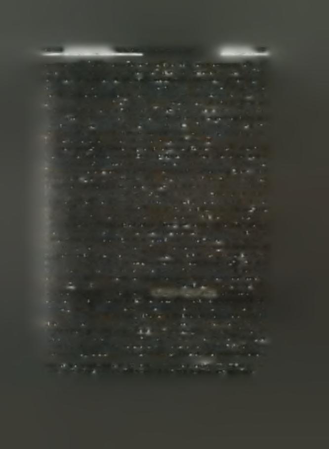 AE 1962 Γ.