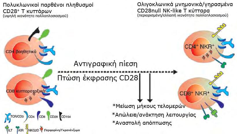 Εικόνα 4.