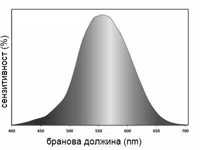 24 Сл. 0.23: Сензитивноста на окото во зависност од брановата должина на светлината. Ако постои искривување на зеницата се jавува страбизам или криво гледање.