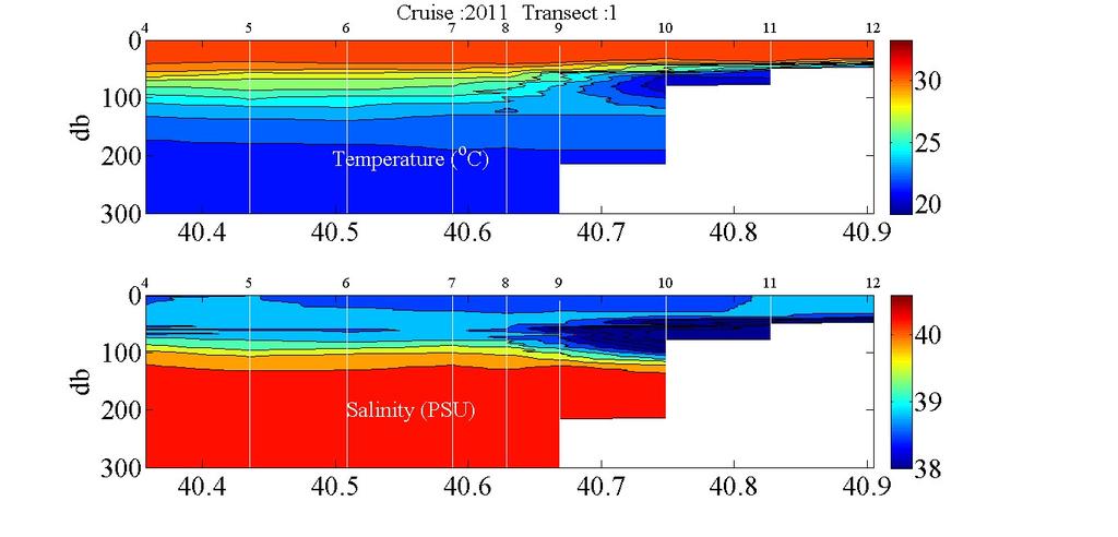 Εικόνα 3.18. Κατανομή θερμοκρασίας, αλατότητας, δυνητικής πυκνότητας και συγκέντρωσης οξυγόνου στην πρώτη τομή (transect 1) κάθετα στον άξονα της λεκάνης σε γεωγραφικό πλάτος 17.3-17.6 Ν.