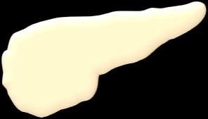 glucagon-like peptide-1.