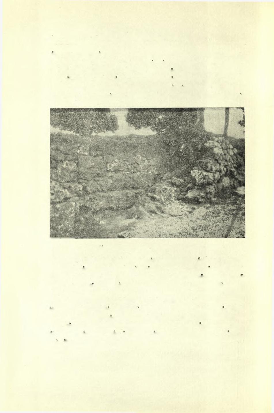 242 Πρακτικά τής 'Αρχαιολογικής Εταιρείας 1951 υπό τό σημερινόν εκ χαλίκων κατάστρωμα τής δδοΰ Ιπίχωσις. Πλησίον τής διασταυρώσεως τής δδοΰ Πίνδου προς την άνωτέραν στροφήν τής δδοΰ Β.