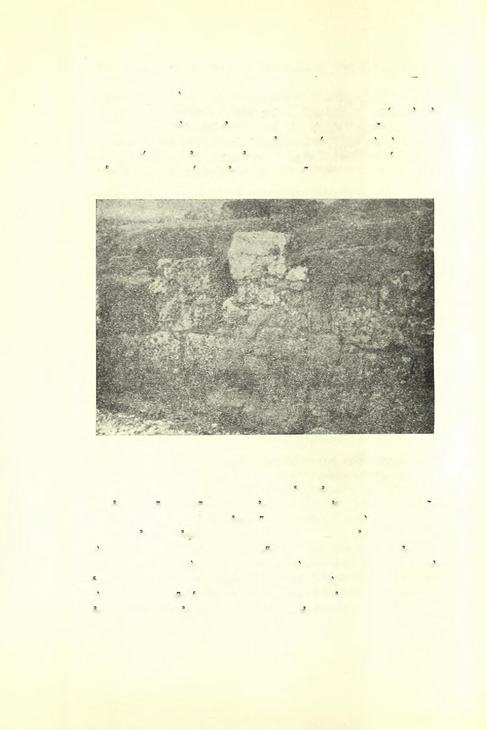 244 Πρακτικά τής Αρχαιολογικής 'Εταιρείας 1951 χους.
