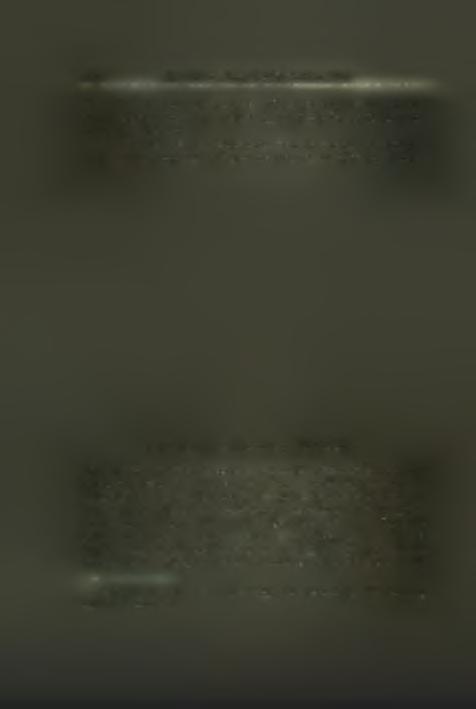 Βυζαντινά λείψανα παρά την οδόν Πυθαγόρου. χεία προς πορισμόν υλικών, άφήρεσαν σημαντικήν.