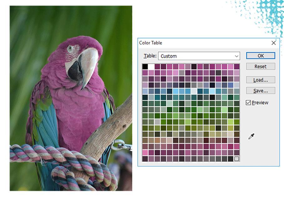Ειδικά θέματα ψηφιογραφικών εικόνων Indexed color (δεικτοδοτούμενο χρώμα) ü Το δεικτοδοτούμενο χρώμα αφορά στη δυνατότητα χρήσης 256 ή λιγότερων χρωμάτων για την αναπαράσταση των χρωματικών
