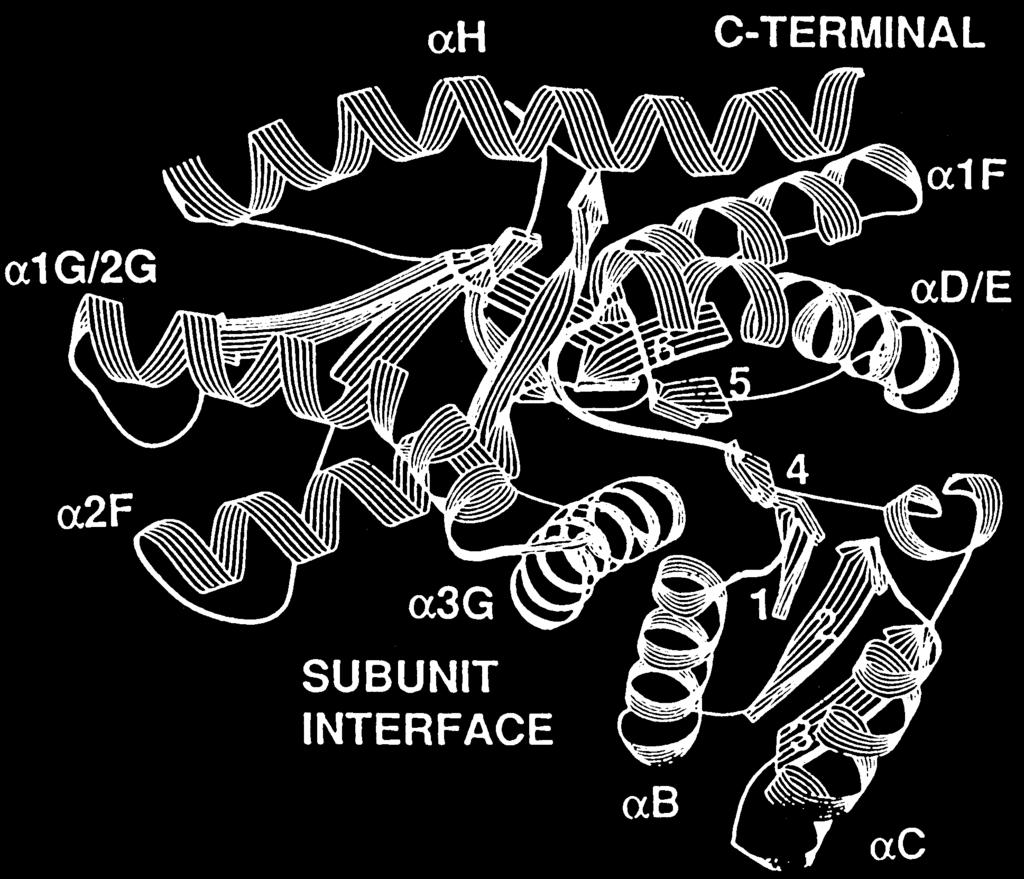 (Minarik et al., 2002).