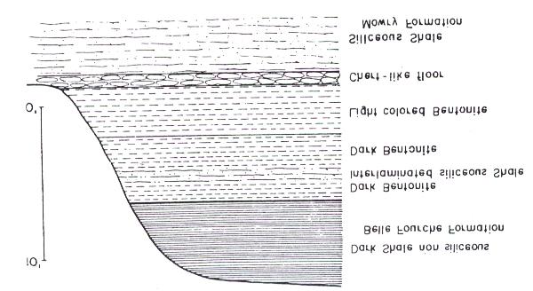 ΚΕΦΑΛΑΙΟ 2 ΓΕΝΕΣΗ ΚΟΙΤΑΣΜΑΤΩΝ-ΧΑΡΑΚΤΗΡΙΣΤΙΚΑ ΚΟΙΤΑΣΜΑΤΑ Σχήμα 2. 2:Τομή μπεντονίτη με το όνομα «Clay Spur» (Grim &Güven, 1978).