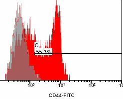 CD29, CD44, CD49e,