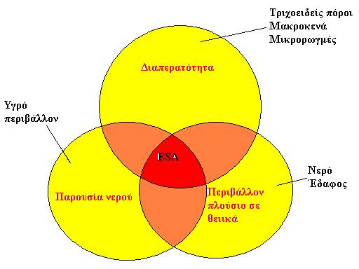 Παρουσία νερού Μια σχηματική αναπαράσταση για τη φθορά που δημιουργείται από την εξωτερική προσβολή των θειικών παρουσιάζεται στο Σχήμα 12, όπου κάθε στοιχείο που συμβάλλει στη φθορά απεικονίζεται με