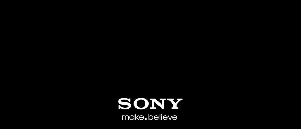 Sony or make.