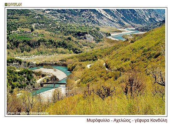 Σημαντικά καταφύγια για την επιβίωση απειλούμενων και προστατευόμενων ζωικών ειδών όρνια, αρπακτικά πουλιά (Χρυσαετός, Ασπροπάτης), μεταναστευτικά πουλιά, βίδρες, καστανή αρκούδα Ερωτηματικά ως προς