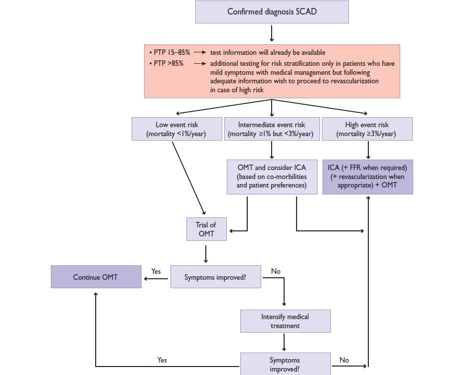 ESC Guidelines for chronic stable CAD.