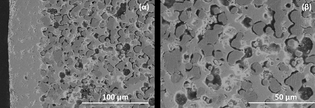 Κεφάλαιο 6 Φαινόμενο PELOCE Σχήμα 6.10. Εικόνες SEM της εγκάρσιας τομής της χρησιμοποιημένης κυψέλης Pt / BZCY72 / Ni - BZCY72. 6.5.